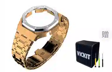 Vickit Casio GA2100 Series