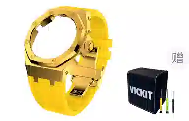 VickitCASIOAKGA2100 GAB2100 GA2110