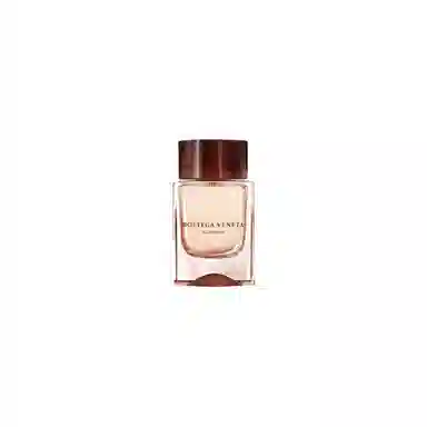 Bottega Veneta Illusione Bois Nu