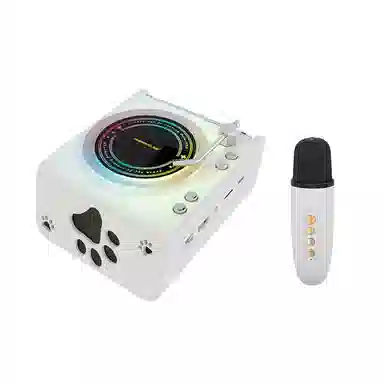 LIFE H123 HIFI RGB FM