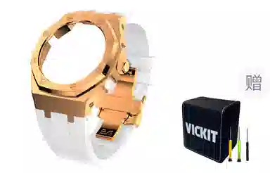 VickitCASIOAKGA2100 GAB2100 GA2110