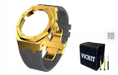 VickitCASIOAKGA2100 GAB2100 GA2110