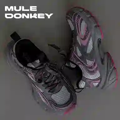 Mule Donkey