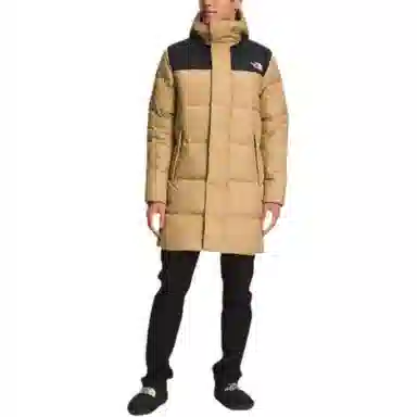 THE NORTH FACE FW22 Logo