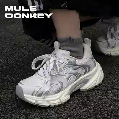 Mule Donkey