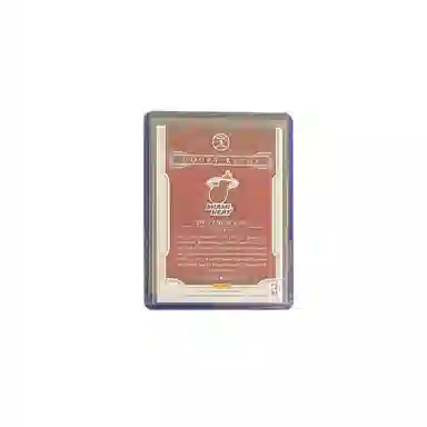 PANINI 2014-15 189190 Dwyane Wade