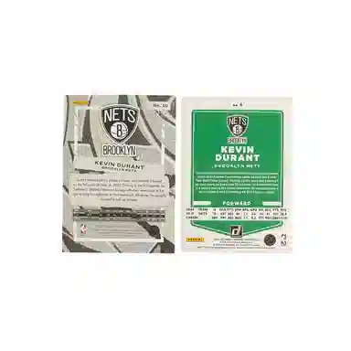 PANINI 2022-232499 +2021-22 1492