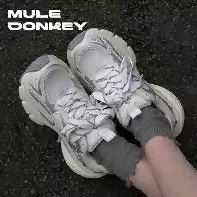 Mule Donkey