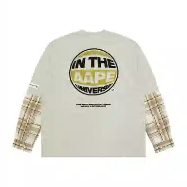 Aape T