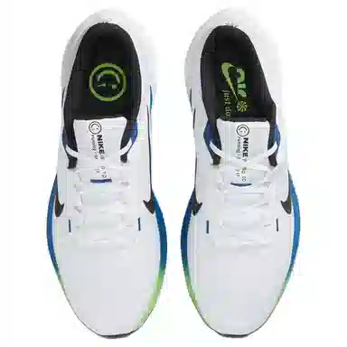 Nike Air Winflo 10 White Blue