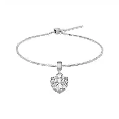 Daniel Wellington DW CHARMS 925