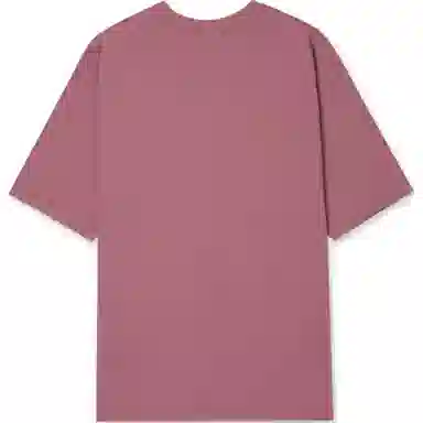 levis T