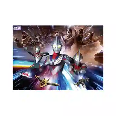 pic it TDG25 1000 pcs