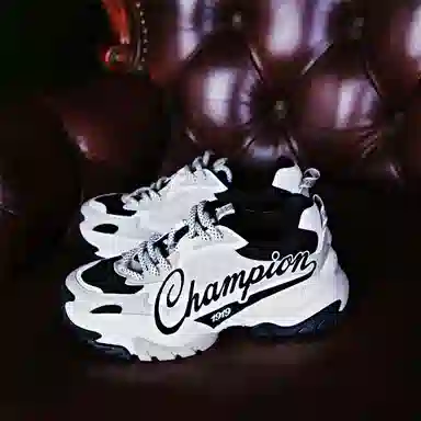Champion Retro Sports