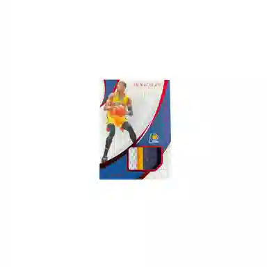 PANINI 2018-19 Immaculate 25 patch