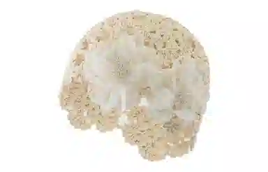 US8ACC