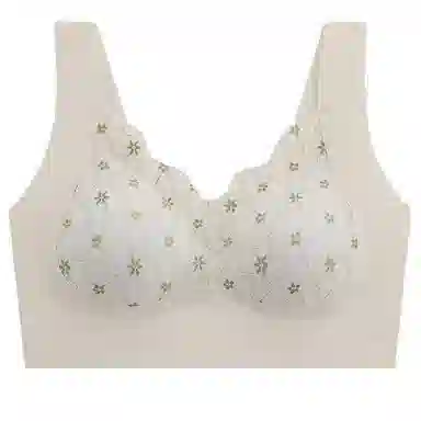 俞兆林 舒适大胸显小提拉上托聚拢防下垂收副乳薄款文胸 女款 组合装