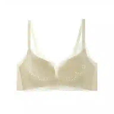 内在密码 法式蕾丝性感轻薄显小无痕透气洞洞杯收副乳文胸 女款