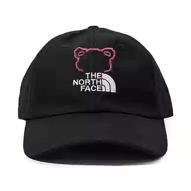 THE NORTH FACE Logo FanFare