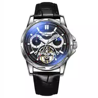 Dulunwe Fashion Automatic Watch