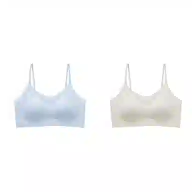 俞兆林 无钢圈聚拢舒适防下垂收副乳美背上托文胸 女款 组合装