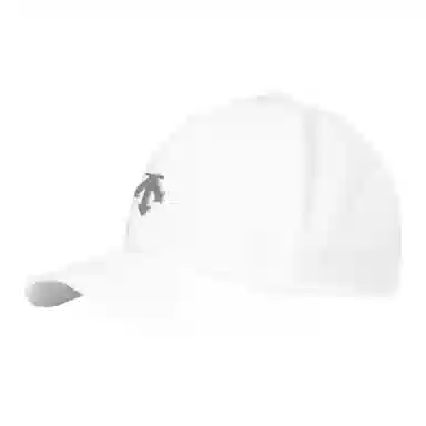 DESCENTE -