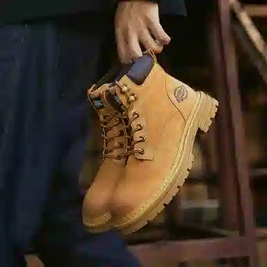 Dickies