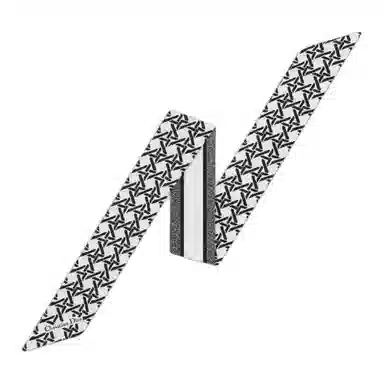 DIOR Graphic Cannage