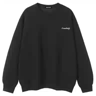 POINTLIMIT FW24 Logo