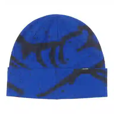 Arcteryx Beanie Blue