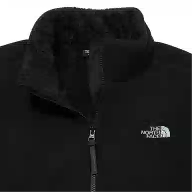 THE NORTH FACE M's Furry Ex Fleece Logo