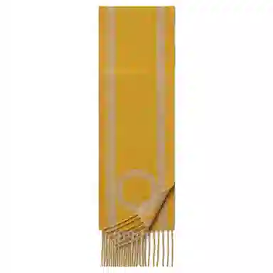 Hermes Casaque Scarf