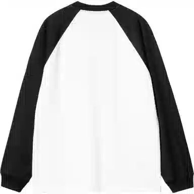 Carhartt WIP FW24 LS Brown Ducks Baseball T-S T