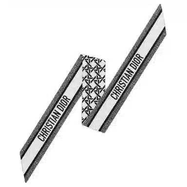 DIOR Graphic Cannage