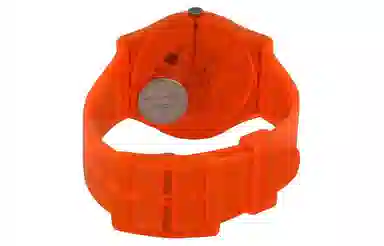 SWATCH Abricotier 30 34mm GO114