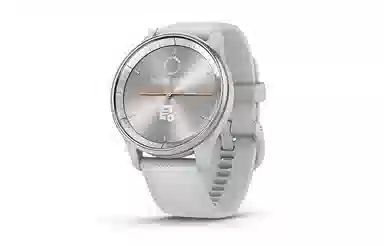 GARMIN Move Trend