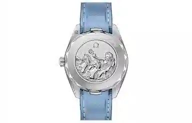 OMEGA Seamaster 220.12.41.21.03.008