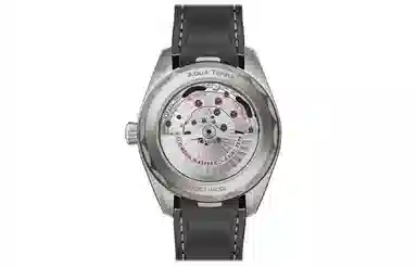 OMEGA Seamaster 220.92.43.22.99.001