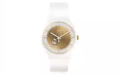 Swatch ORIGINALS 30 SUOW144