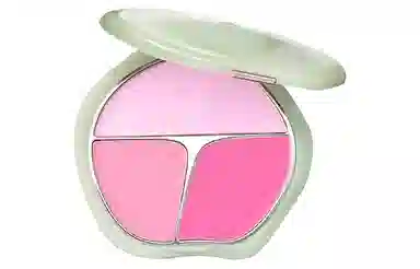 13g