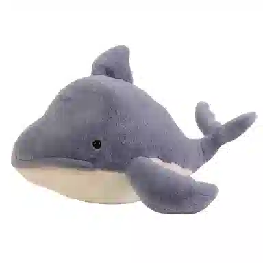 110cm45cm55cm70cm
