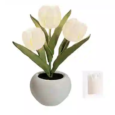 JIUFEN LED