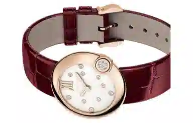 Cartier Ballon Blanc WGBL0010