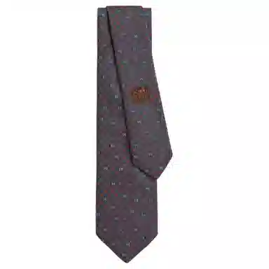 Hermes Tie Brown