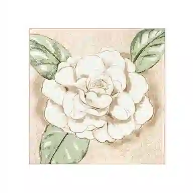 上海故事 青春 真丝中 （双面）芳茶雅韵 桑蚕丝 上架 女款 #礼盒装