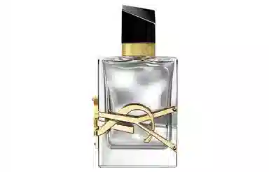 YSL 2023 parfum 50ml90ml