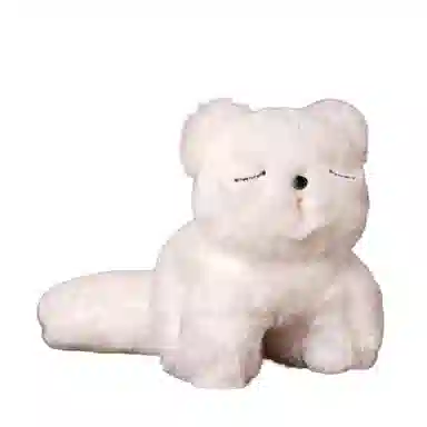 23cm