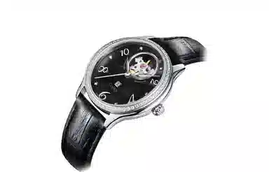 CODEX X 34.6mm 1208.11.0101.I01