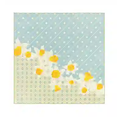 上海故事 青春 真丝中 （双面）芳茶雅韵 桑蚕丝 上架 女款 #礼盒装