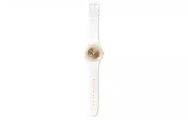 Swatch ORIGINALS 30 SUOW144